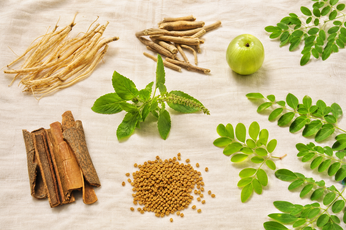 The Best Ayurvedic Herbs for PCOS (and How They Help)