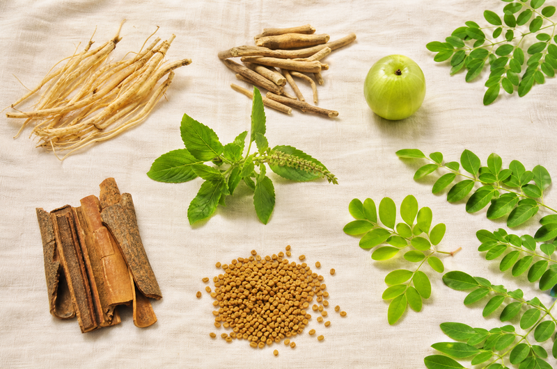 The Best Ayurvedic Herbs for PCOS (and How They Help)
